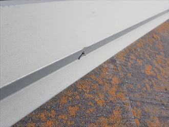 君津市 棟板金の釘浮き
