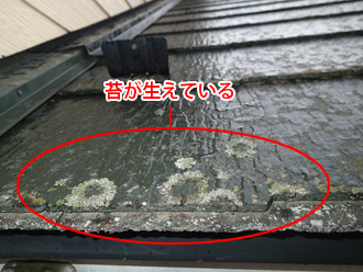 PC100002 千葉市若葉区 スレート屋根の点検 苔が生えている