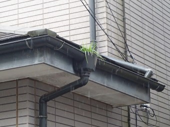 八千代市|草の生えた雨樋