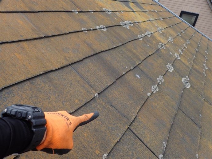 市川市大洲で行った化粧スレート屋根調査でひび割れが発生しています