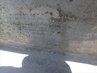 木更津市 屋上防水補修010_R