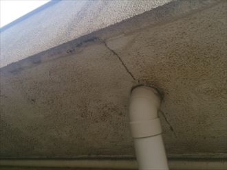 市原市 体育館の雨漏り調査003_R