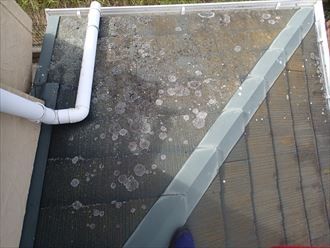 木更津市の屋根調査　コロニアル2