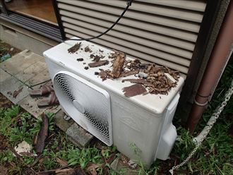 千葉市 台風で外壁落下001_R