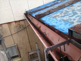 雨樋調査　君津市