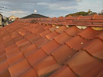 20191031_160826市川市宮久保_瓦屋根調査 瓦屋根の棟の漆喰が剥がれています