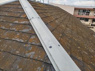 脳天打ちが施されている棟板金は雨漏りの原因になります