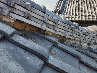 20190910_085400鎌ケ谷市_瓦屋根調査 台風15号の強風の影響により棟の漆喰が剥がれて葺き土が露出