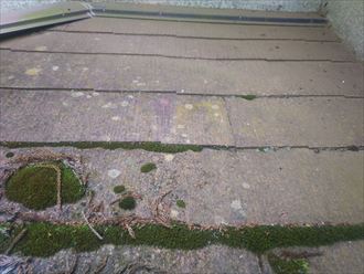 DSC_0026 船橋市藤原で行った築30年が経過した化粧スレート屋根の調査で下屋根に雨漏りに繋がる苔を発見