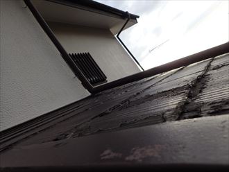 市原市 破風の調査と屋根004_R