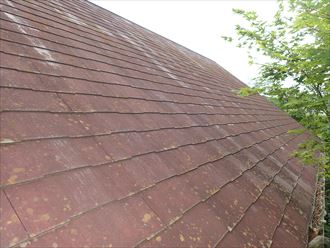 千葉市若葉区東寺山町で行った化粧スレート屋根調査で防水性が低下し苔や藻、カビが発生しています