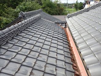 いすみ市 和瓦の雨漏り調査012_R