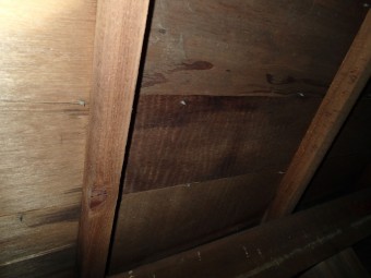 雨漏り点検 小屋裏