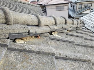 20191003_142036柏市西原_瓦屋根調査 漆喰の剥がれで葺き土が露出