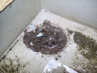 木更津市の屋根調査　コロニアル4