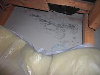 千葉県木更津市　Ｙ様邸　屋根工事、屋根裏点検 (2).JPG
