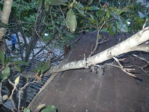アスファルトシングルが台風で剥がれてしまいました。　茂原市 (1)_R.JPG