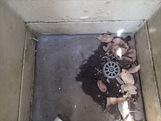 稲毛区　雨漏り調査　ベランダ002_R.JPG