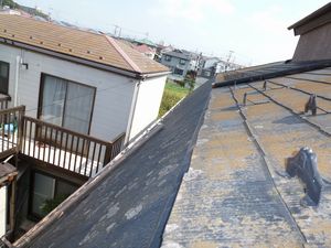 屋根の上の雨樋はずれ修理　台風被害　船橋市上山町 (3).JPG