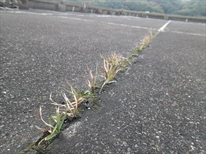 君津市　スタジオ雨漏り　調査014_R.JPG