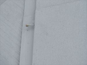 君津市　棟板金飛散　屋根調査　004R.jpg