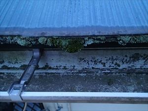 市原市　屋根調査　コケの発生003R.jpg