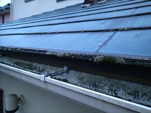 市原市　屋根調査　コケの発生005R.jpg