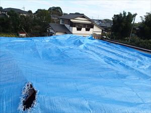 市原市　瓦棒屋根飛散　雨漏り養生　亀裂.JPG