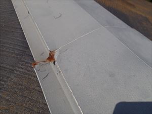 習志野市 屋根の調査 コロニアル屋根009R.jpg