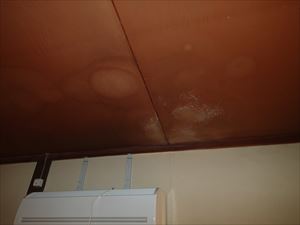 集合住宅の台風被害　室内雨漏りと瓦屋根の修繕工事　千葉市花見川区 (1)_R.JPG