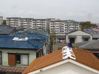 松戸市　震災.jpg