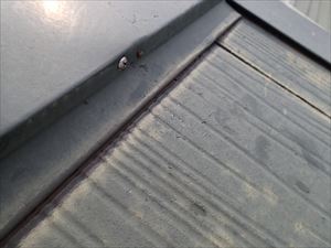 雪止め設置　雨どい交換　市原市001R.jpg