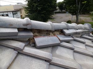 台風被害　屋根　千葉県006R.jpg