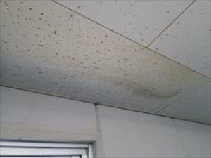 東金市　雨漏り調査　大型倉庫011R.jpg