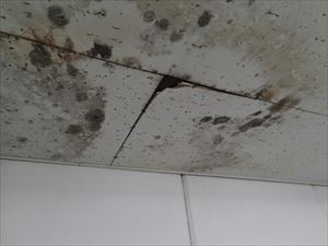 東金市　雨漏り調査　大型倉庫013R.jpg