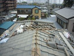 棟瓦取り直し　鎌ヶ谷市 (2).jpg
