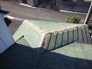棟板金撤去　清掃　木更津市.JPG