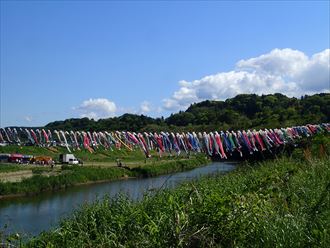 木更津市 端午001_R.JPG