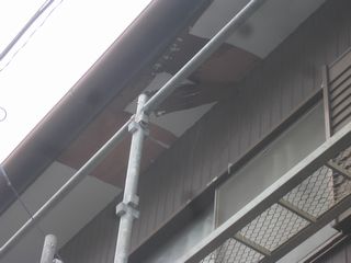 CIMG0260.JPG CIMG0260.JPG