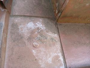 IMG_20141123_113104_R.jpg