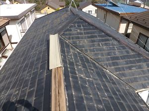 P1020041_300R1.JPG