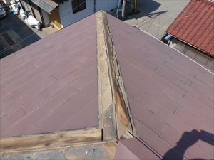 P1020107_300R1.JPG