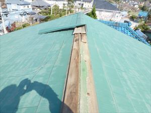 P1020124_300R1.JPG