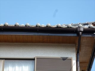 P1060773_R.JPG