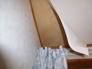 P1060843_R.JPG