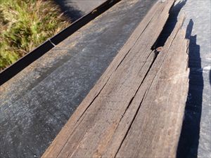 P1070047_R.JPG