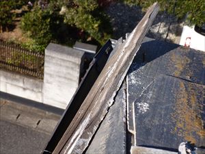 P1070048_R.JPG