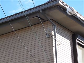 P1070754_R.JPG