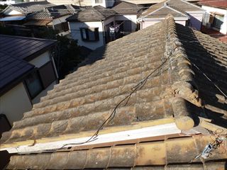 P1080883.JPG