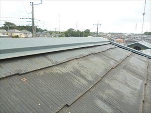 P1170142_R.JPG